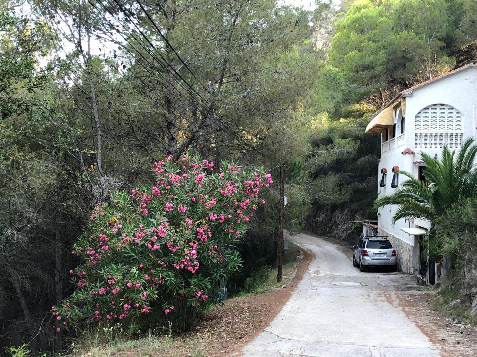 Vila Almisera Almiserat Exteriér fotografie
